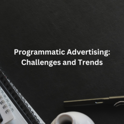 Programmatic Advertising Blog
